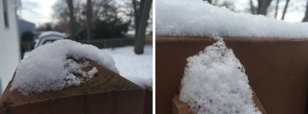 Cách chụp ảnh macro tuyệt đẹp trên iPhone ảnh 3