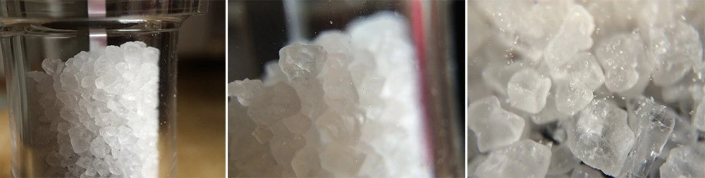 Cách chụp ảnh macro tuyệt đẹp trên iPhone ảnh 5