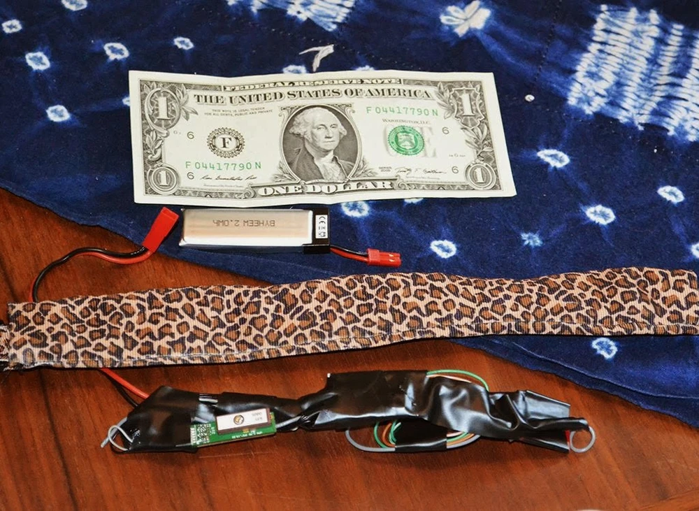 Dùng mèo để hack Wi-Fi nhà hàng xóm ảnh 2