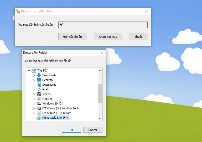 Phục hồi các tập tin bị virus ẩn đi trên USB, thẻ nhớ ảnh 2