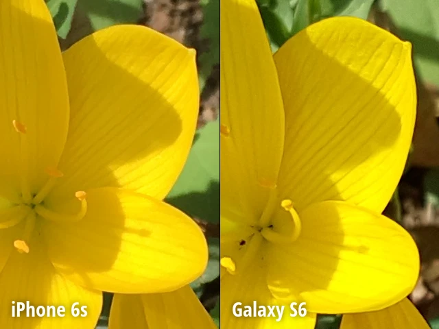 Camera trên iPhone 6S và Galaxy S6, ai chuẩn hơn? ảnh 5