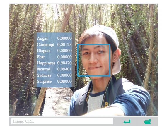 Công cụ phân tích sắc thái khuôn mặt gây sốt trên Facebook ảnh 2