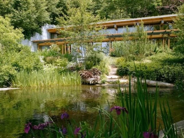 Bill Gates đã xây nhà thông minh từ năm 1997 ảnh 2