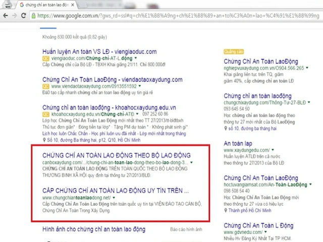 SEO - Định hướng chiến lược trong năm 2016 ảnh 1