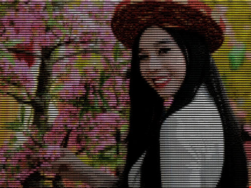 Hai hiệu ứng hình ảnh cực độc cho Facebook và Instagram ảnh 2