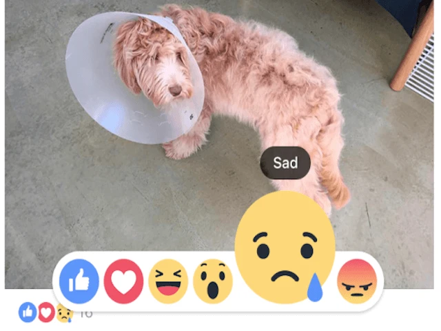 Facebook bổ sung sáu biểu tượng cảm xúc cho người dùng VN ảnh 1