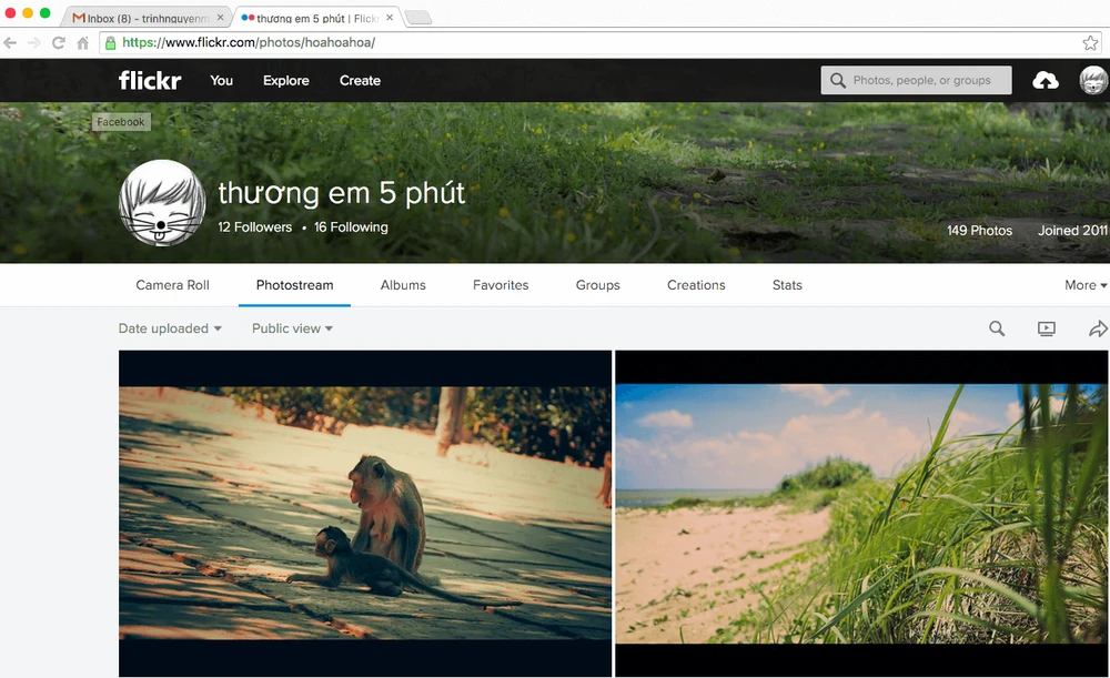 Dịch vụ lưu trữ hình ảnh Flickr bị sập toàn cầu ảnh 2