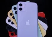 Mua iPhone 11 ở đâu để có giá tốt nhất?