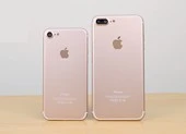 iPhone 7 và iPhone 7 Plus giá chỉ từ 4 triệu đồng