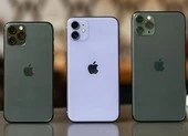 iPhone 11 chính hãng giảm giá 3 triệu khi vừa lên kệ