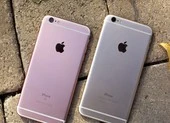 iPhone 6S giảm giá sập sàn còn 2,8 triệu đồng 