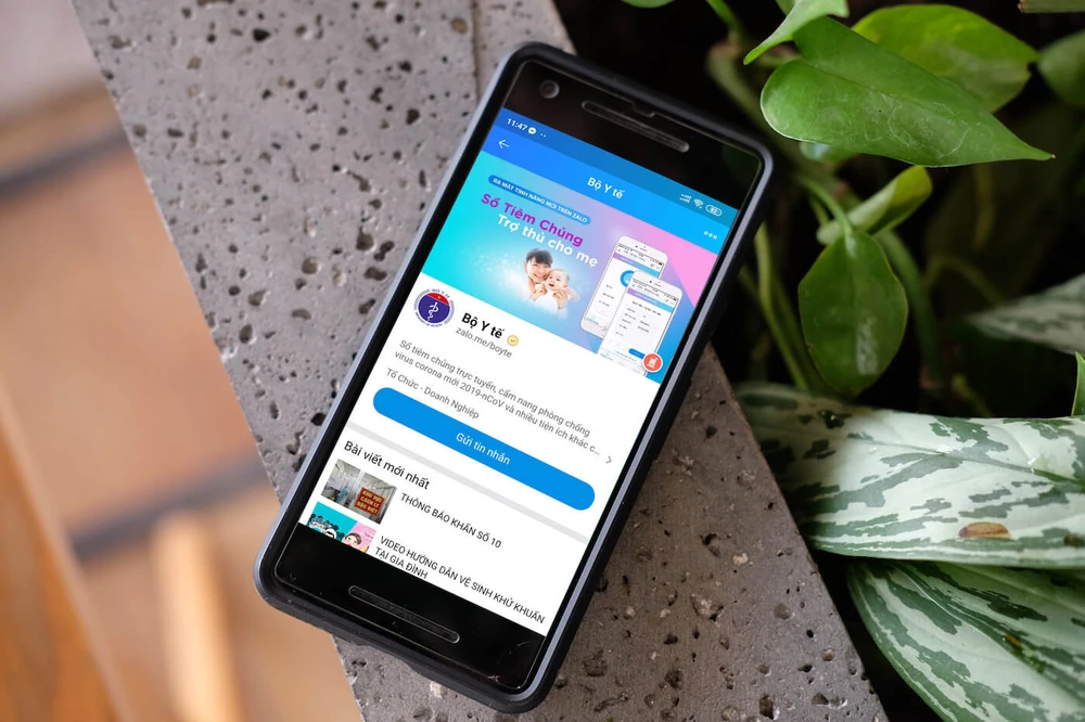 tai-khoan-zalo-chinh-thong