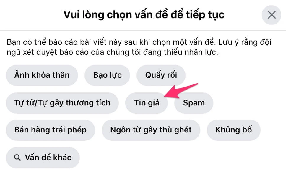 bao-cao-bai-viet-sai-su-that