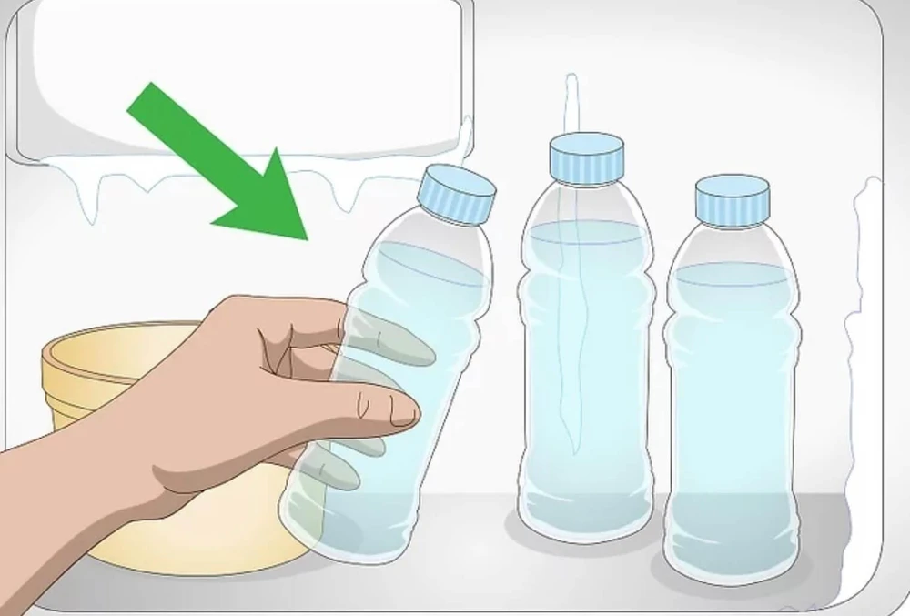 cho-chai-nuoc-vao-ngan-da