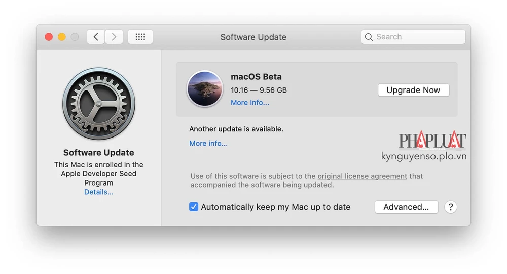 tai-ve-macos-11-beta