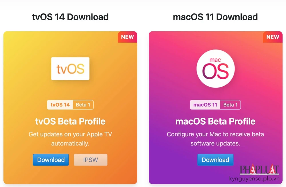 profile-macos-11-beta