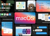 Cách cài đặt và trải nghiệm nhanh macOS 11 beta 