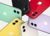 iPhone 11 64 GB giá chỉ còn 12,9 triệu đồng