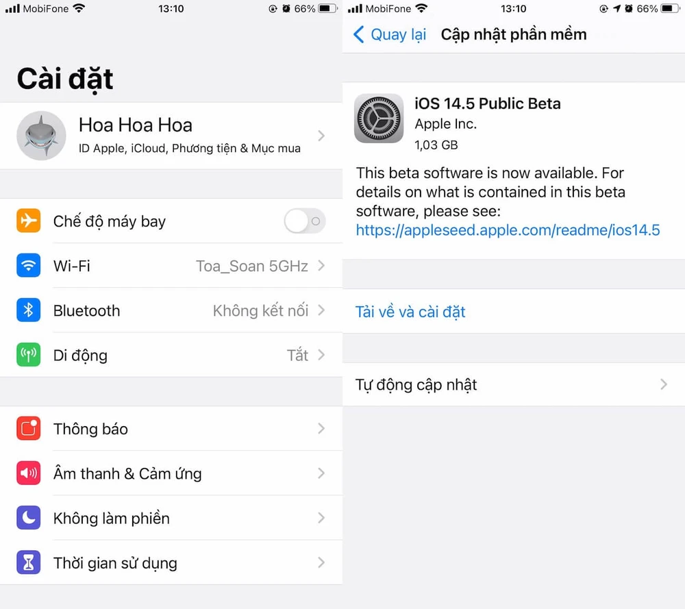 cach-cap-nhat-ios-14-5