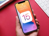 Danh sách 38 thiết bị được nâng cấp lên iOS 15 beta và iPadOS 15 beta