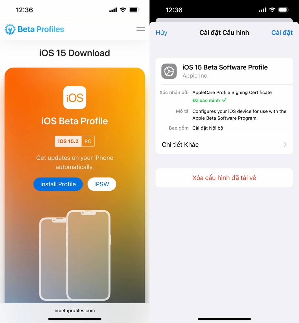cai-dat-profile-beta-ios