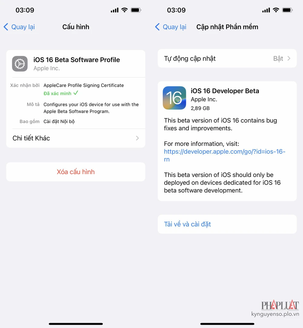 tai-ve-ios-16-beta tai-ve-ios-16-beta