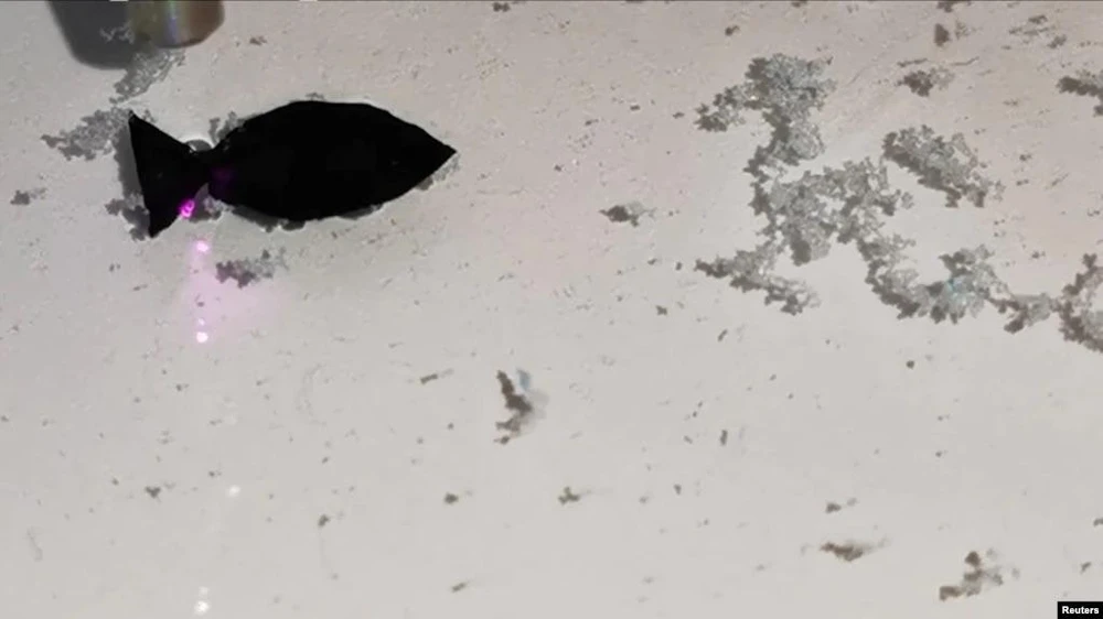 Cá robot có thể hấp thụ vi nhựa trong nước. Ảnh: Reuters