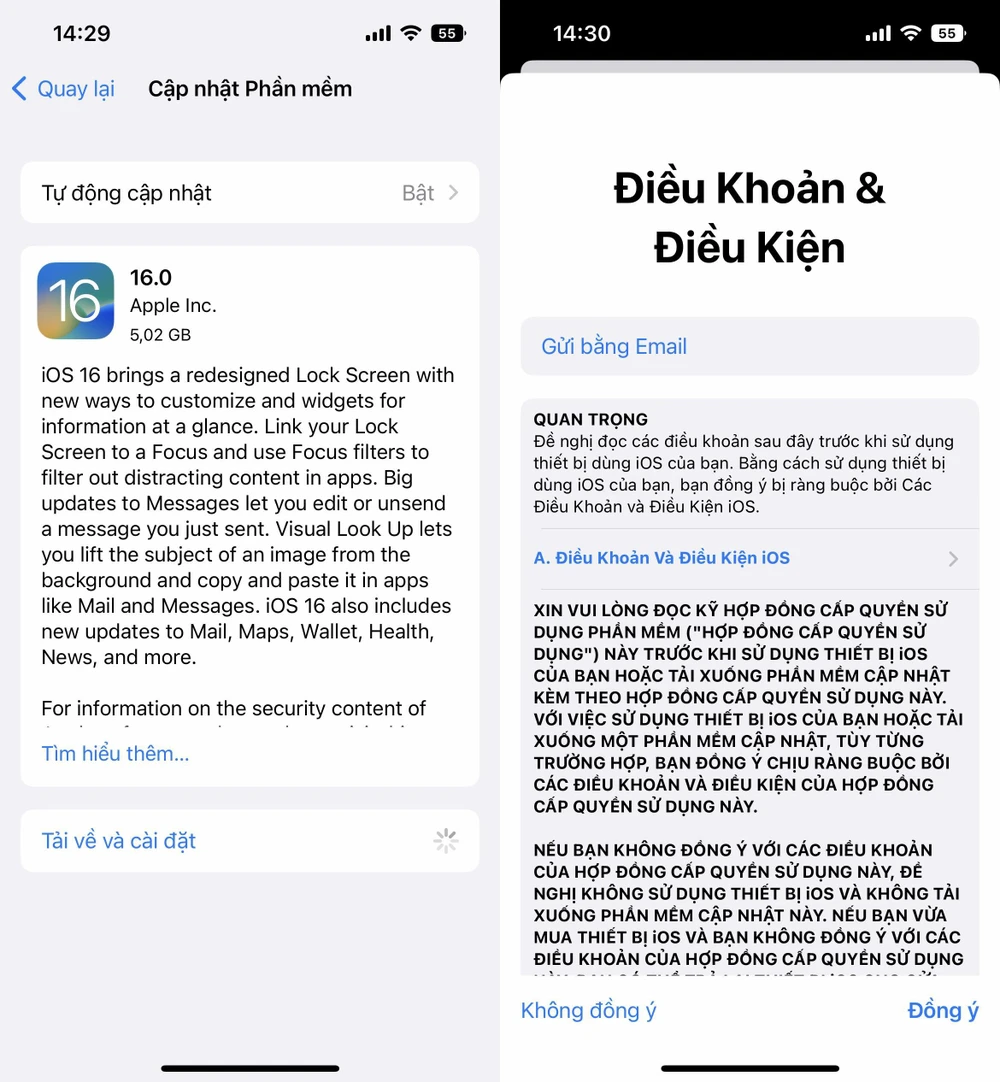 Cập nhật iOS 16 cho iPhone. Ảnh: TIỂU MINH