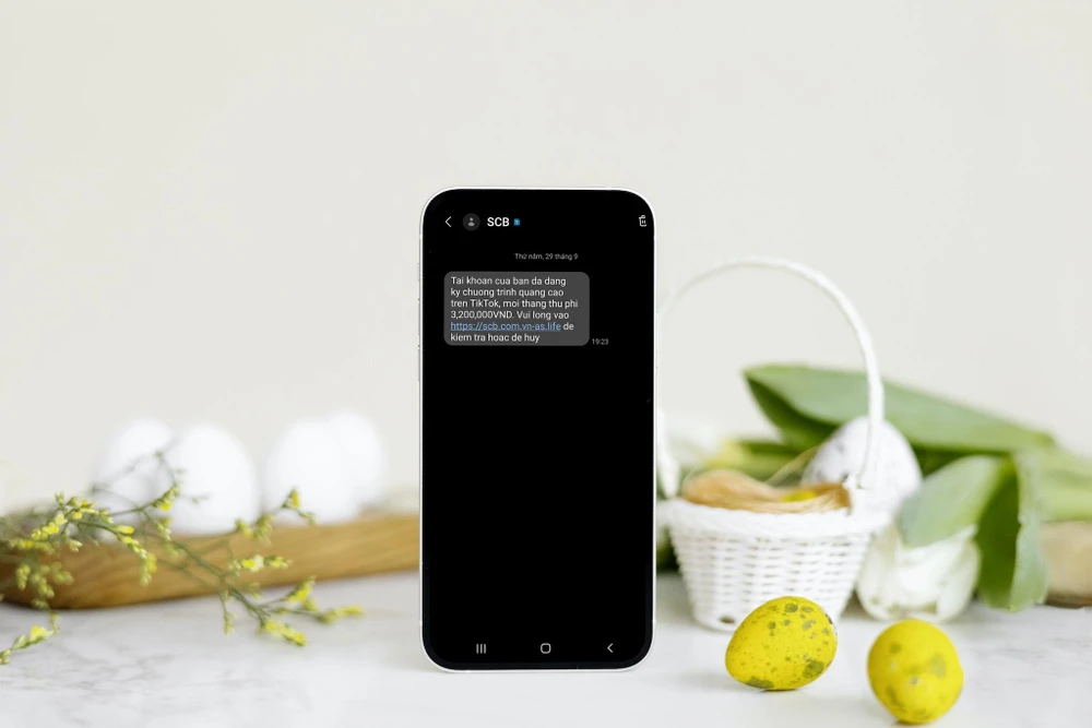 Giả mạo TikTok gửi tin nhắn lừa đảo người dùng. Ảnh: TIỂU MINH