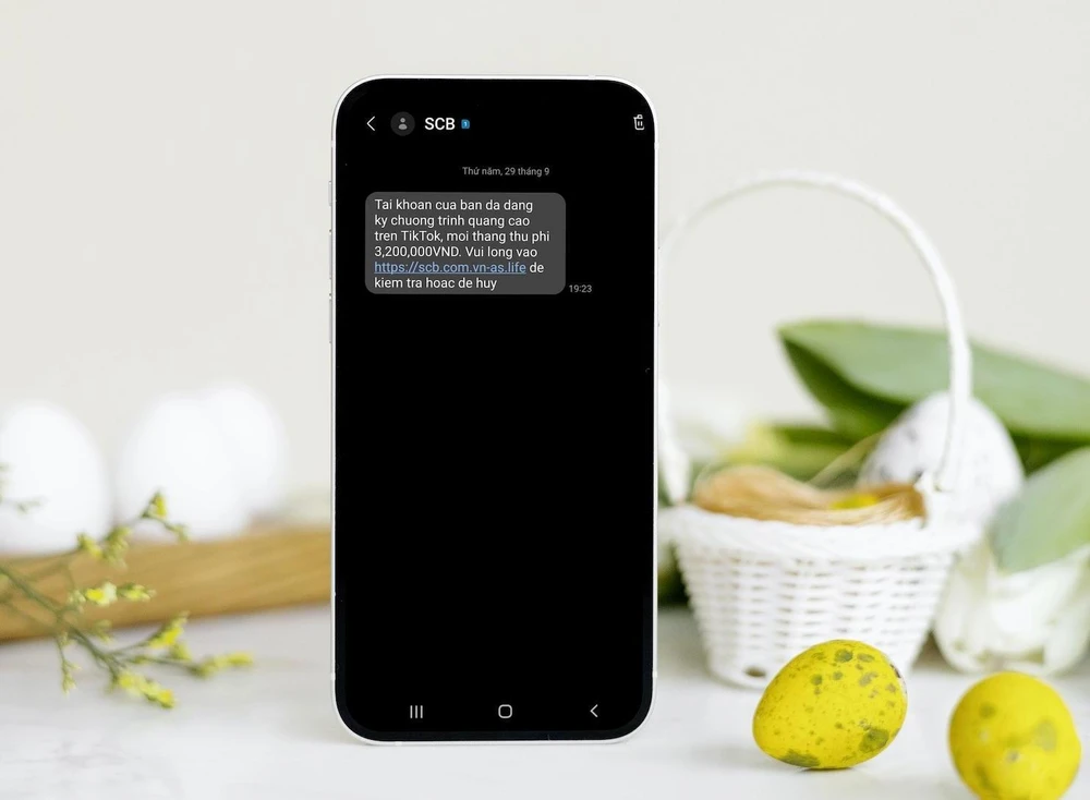 lừa đảo giả mạo tiktok
