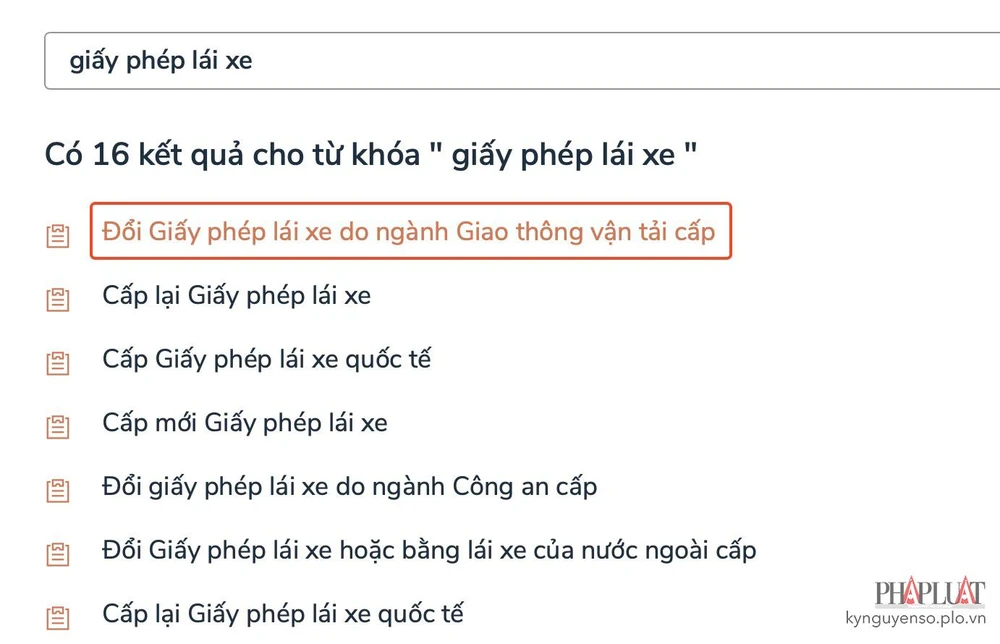 Chọn dịch vụ đổi giấy phép lái xe tương ứng. Ảnh: MINH HOÀNG