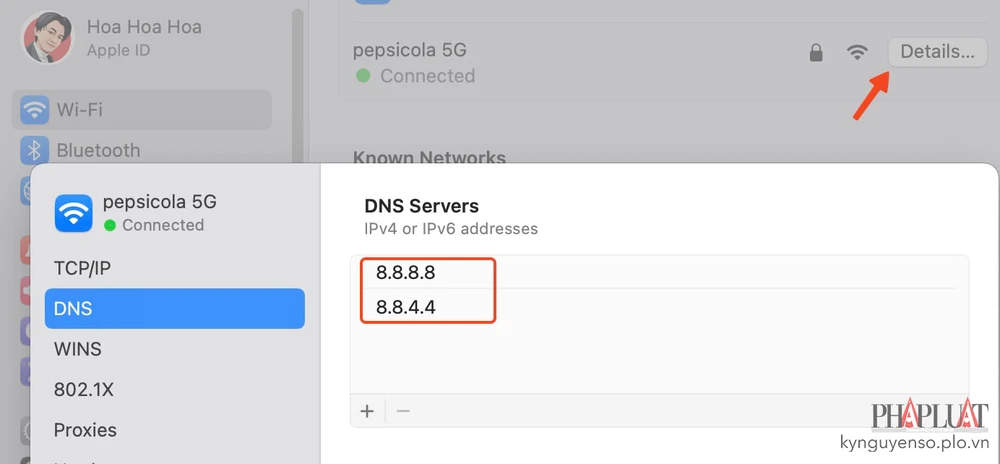Cách đổi DNS trên macOS. Ảnh: MINH HOÀNG