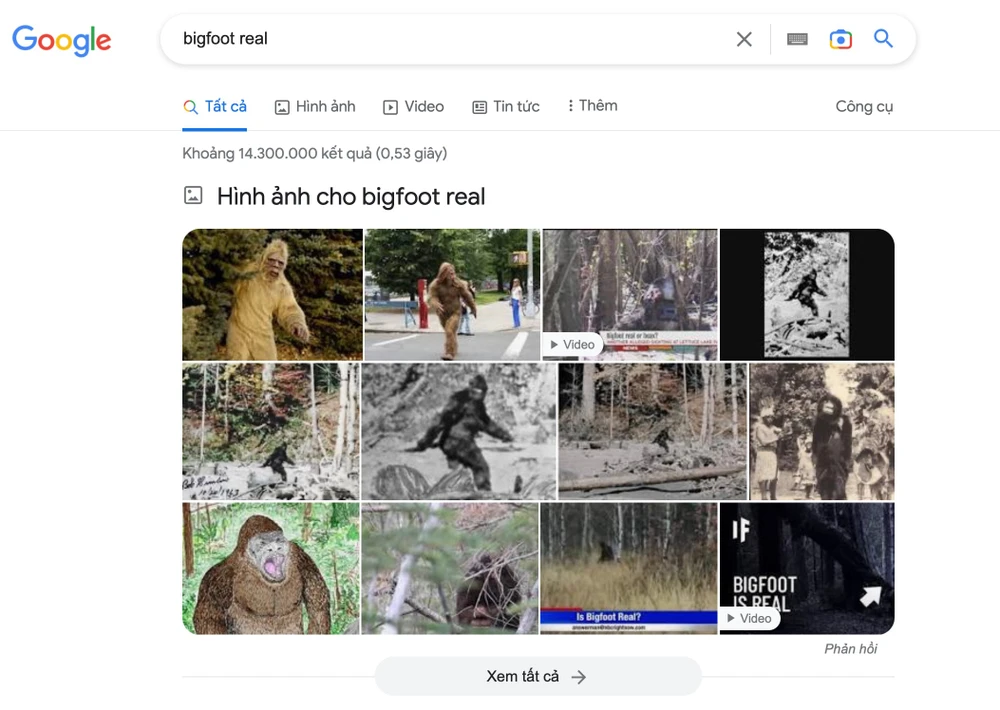 Các thuyết âm mưu rất phổ biến trên Google. Ảnh: TIỂU MINH