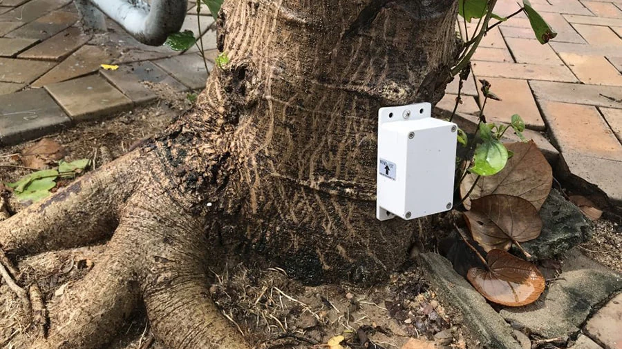 cảm biến thông minh cho cây xanh