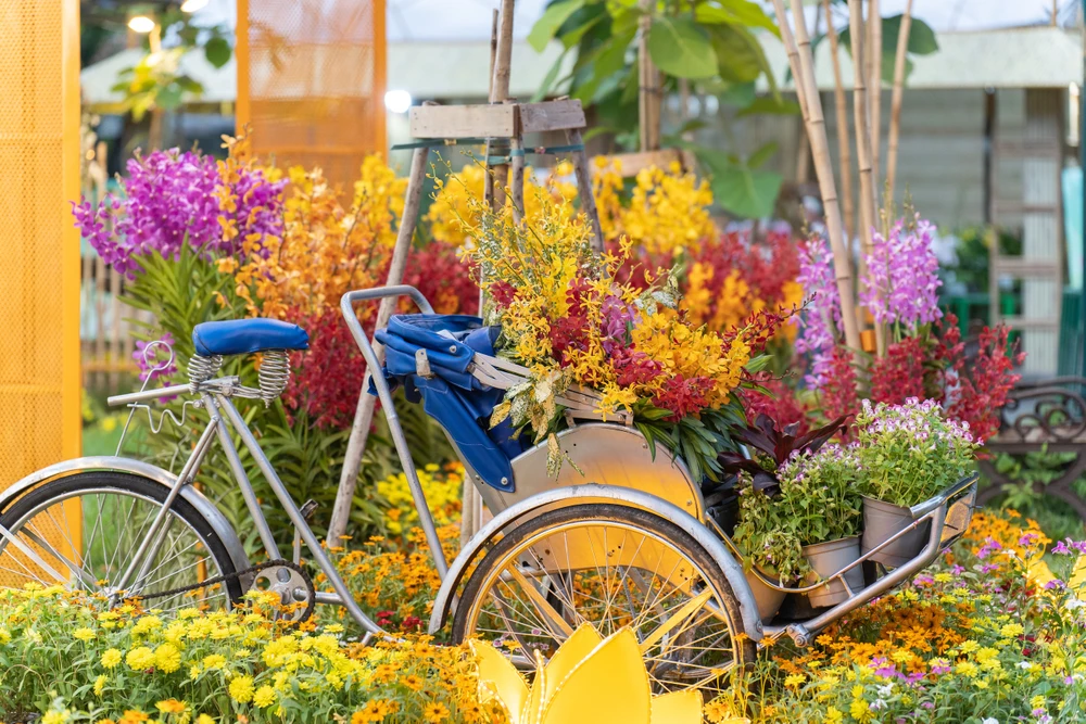 Những chiếc xích lô... chở đầy hoa lan. Ảnh: TIỂU MINH