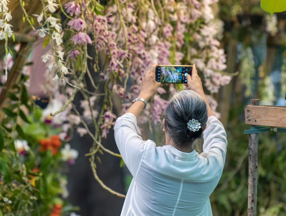 Festival Hoa lan 2023 thu hút nhiều người đam mê cây cảnh. Ảnh: TIỂU MINH