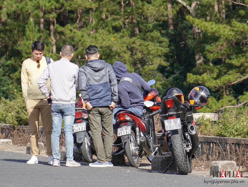 cach-dang-ky-bien-so-dinh-danh-online Cách đăng ký biển số định danh online. Ảnh: MINH HOÀNG