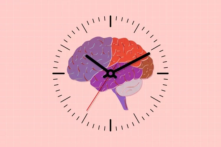 Điều gì xảy ra với bộ não khi bạn già đi.