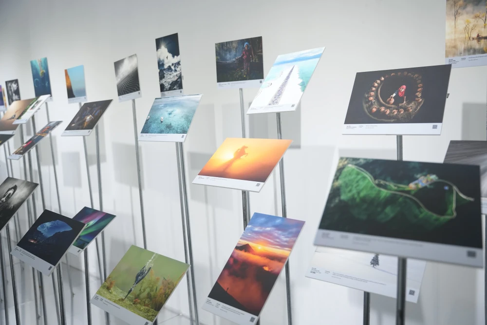 100 tác phẩm đạt giải trong cuộc thi ColorPro Award RISE