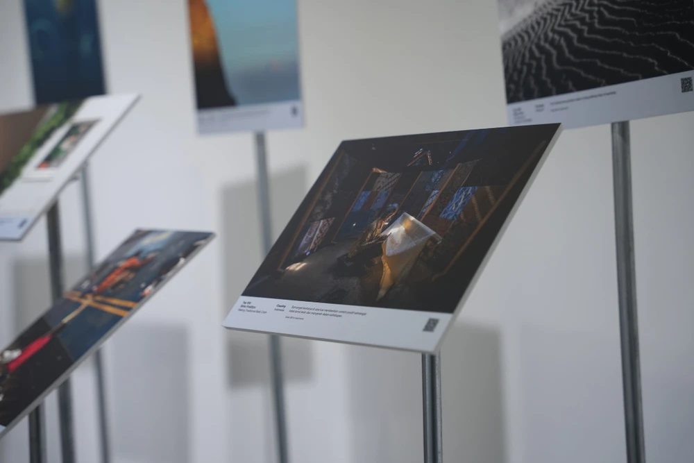 ColorPro-Award-RISE-2023- 3.JPG