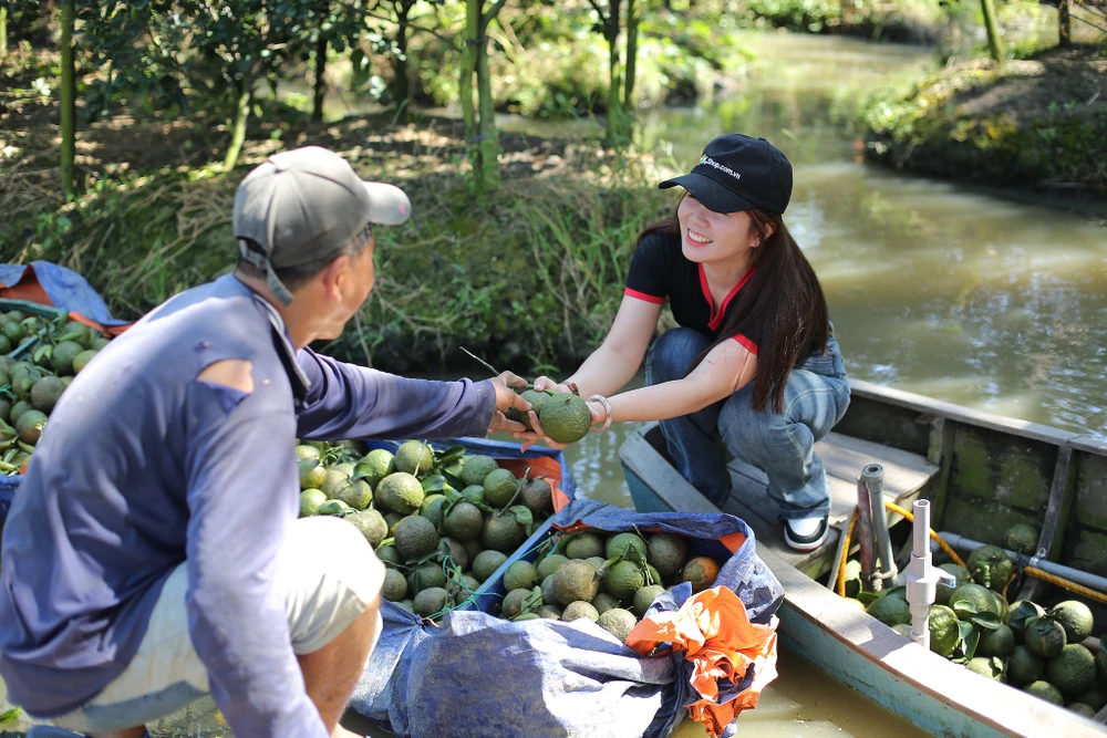 Tin công nghệ 16-12: Nhân viên FPT Shop thu mua cam tại nhà vườn.