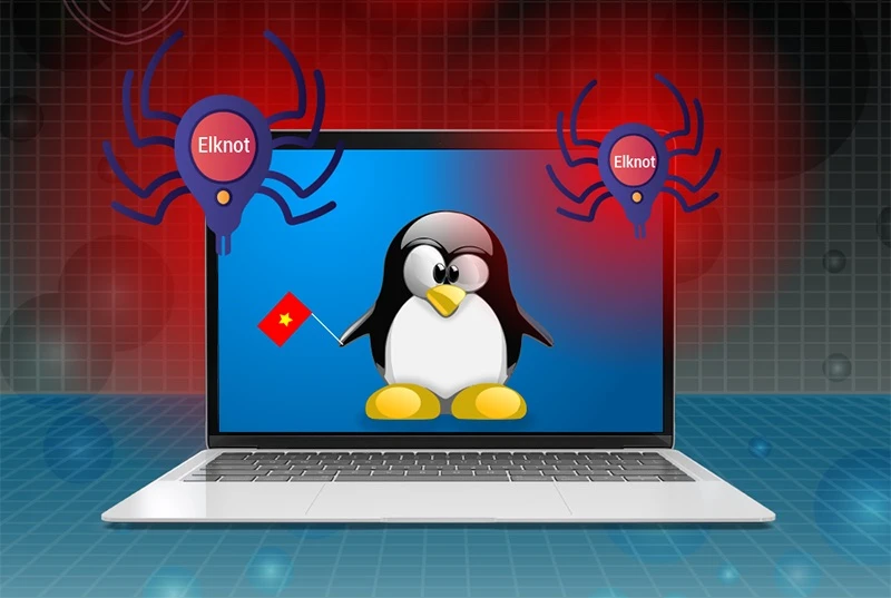 Virus Elknot được thiết kế để đánh cắp thông tin trên máy chủ. Ảnh minh họa