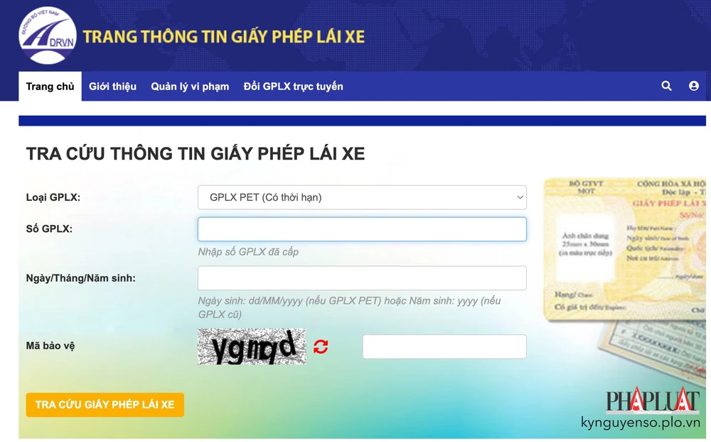 Tra cứu thông tin GPLX thông qua website Cục Đường bộ Việt Nam. Ảnh: MINH HOÀNG