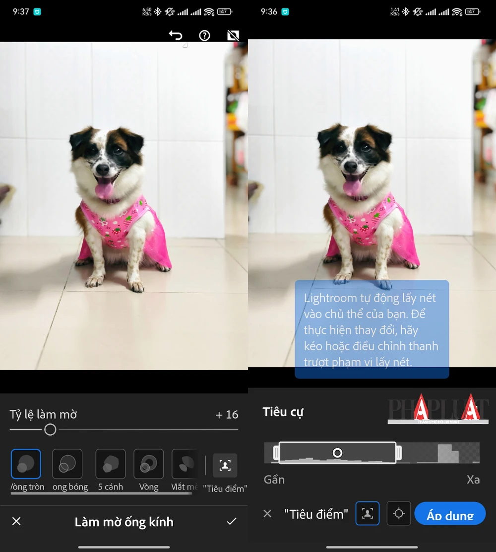 Làm mờ hậu cảnh hoặc chủ thể bằng tính năng Lens Blur trên Lightroom. Ảnh: MINH HOÀNG