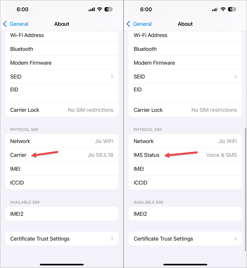 Kiểm tra xem nhà mạng có hỗ trợ giao thức RCS nhắn tin miễn phí trên iPhone hay không. Ảnh: Allthings