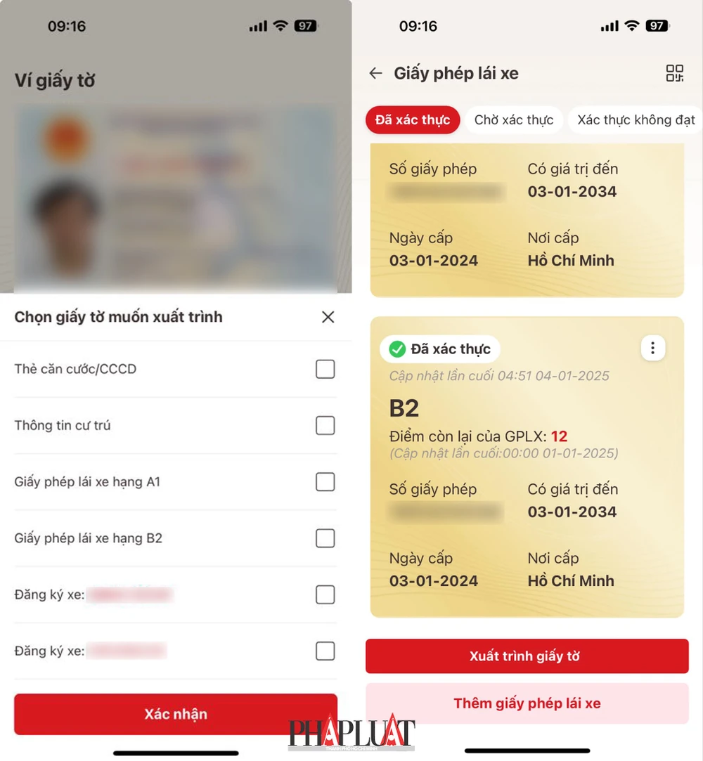 Thông tin GPLX từng loại sẽ được hiển thị riêng biệt. Ảnh: MINH HOÀNG