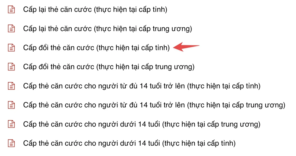 Chọn dịch vụ cấp thẻ căn cước cho người từ đủ 14 tuổi trở lên. Ảnh: MINH HOÀNG