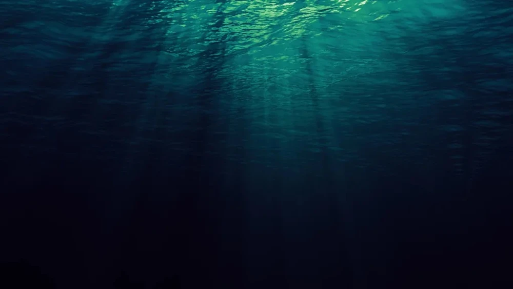 Tin công nghệ 10-5: Nghiên cứu mới cho thấy hơn 99% biển sâu vẫn còn là bí ẩn.