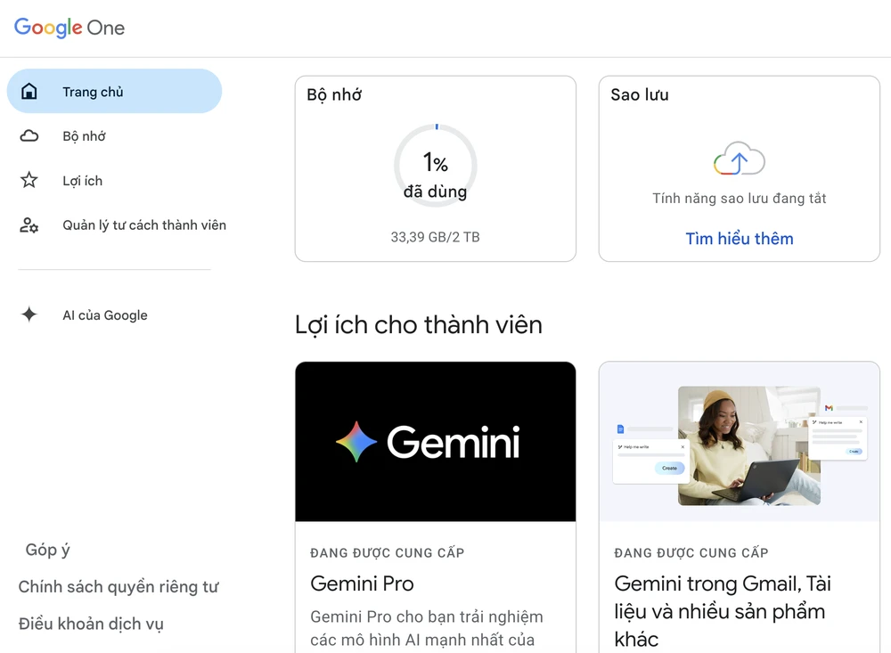 Sinh viên Việt Nam sẽ được sử dụng Gemini Pro miễn phí và 2 TB dung lượng. Ảnh: TIỂU MINH