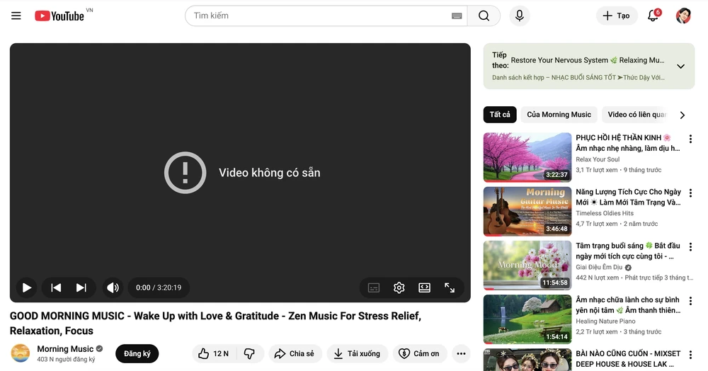 YouTube bị lỗi tại Việt Nam. Ảnh: TIỂU MINH